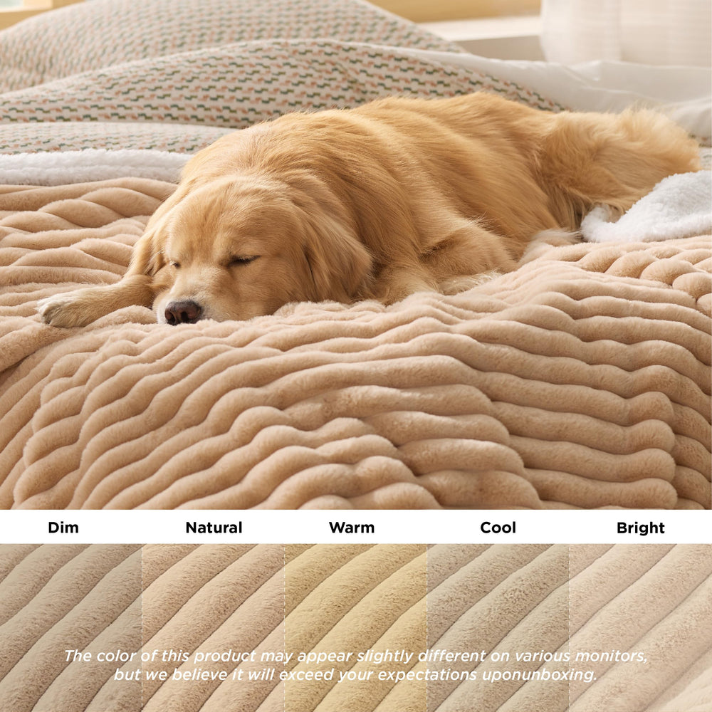 Bedsure portable pet blanket is ideal for car trips and travel.