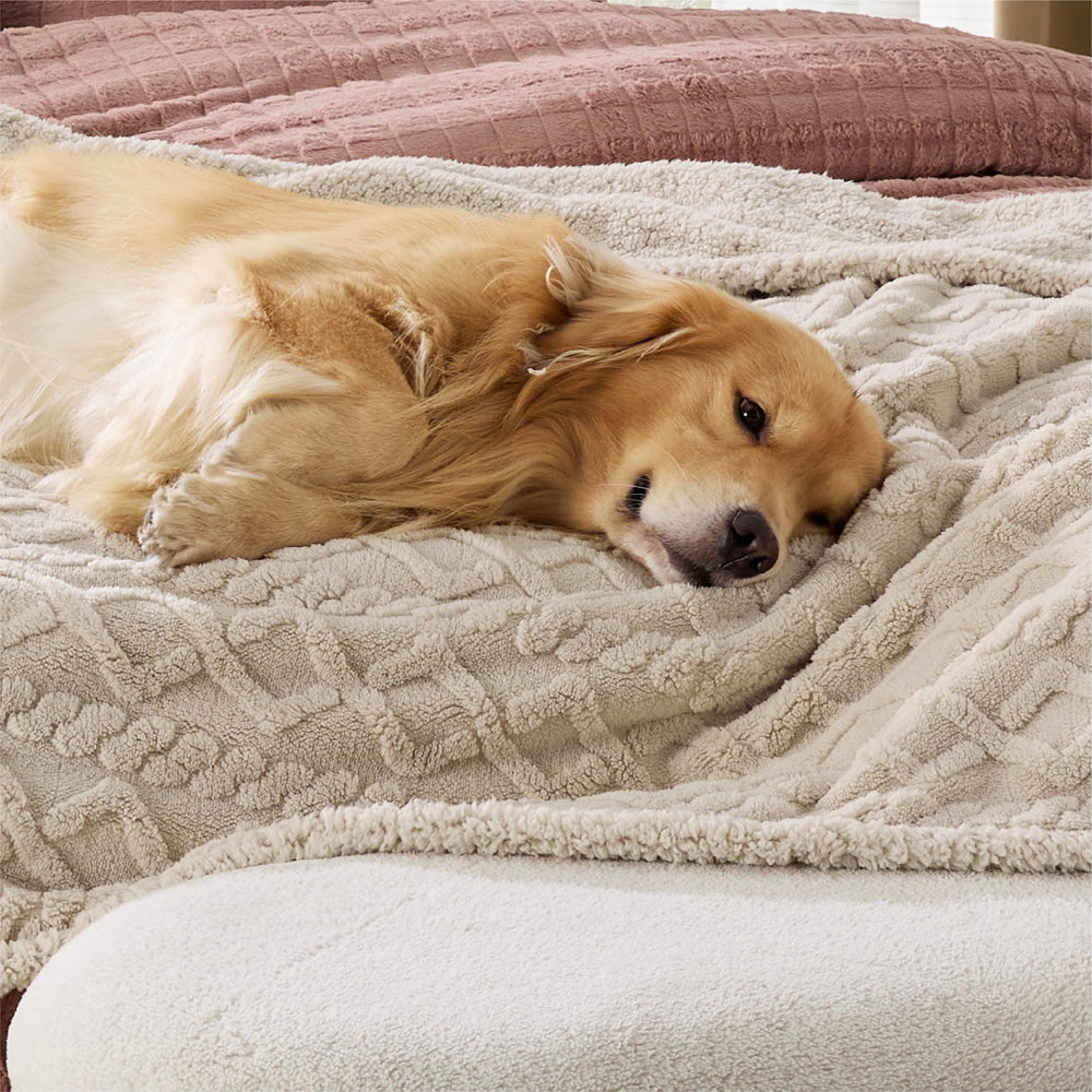 Bedsure portable pet blanket ideal for travel or outdoor activities with pets.