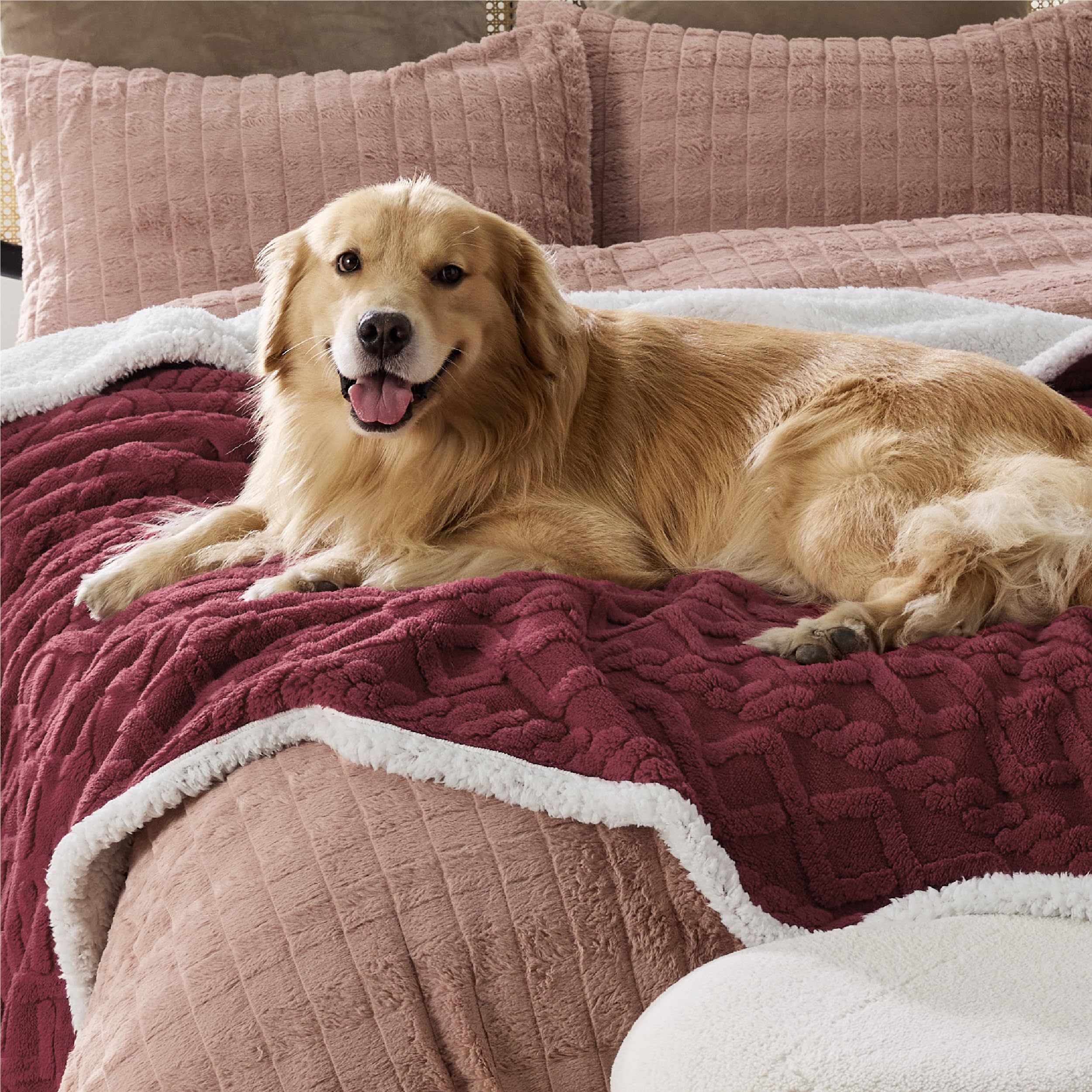 Bedsure portable design suits travel, car rides, or picnics with pets.