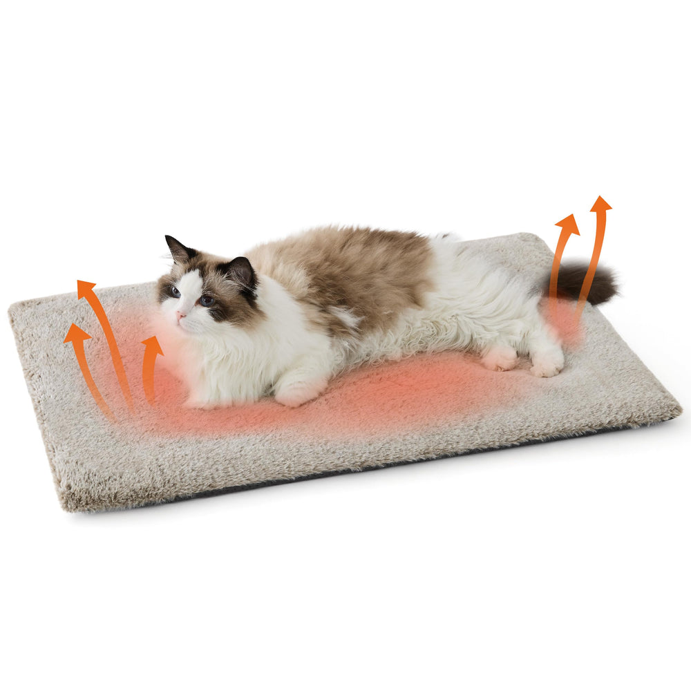 Bedsure self-warming cat bed cover closeup highlights plush warmth for cozy naps.