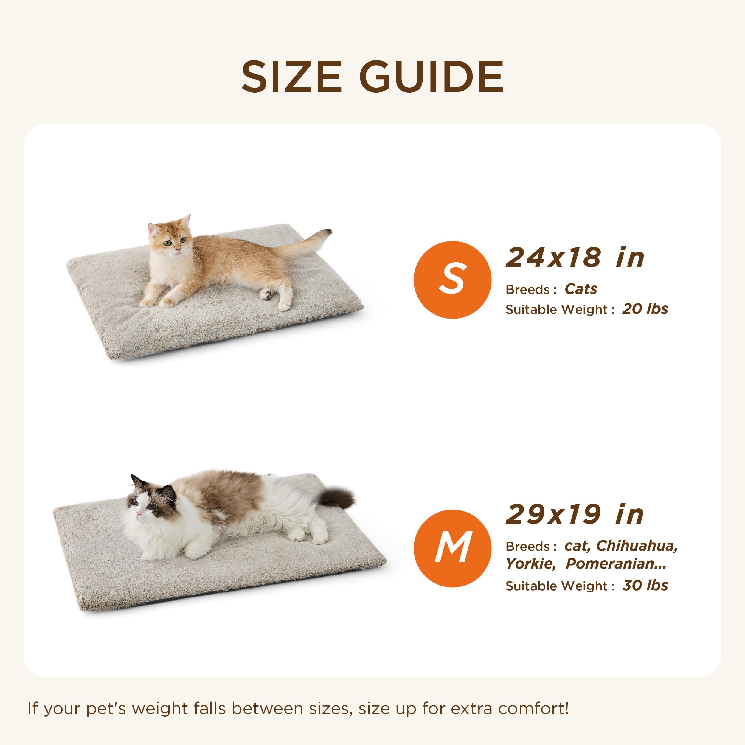 Bedsure self-warming cat bed crate use demonstrates portable warmth
