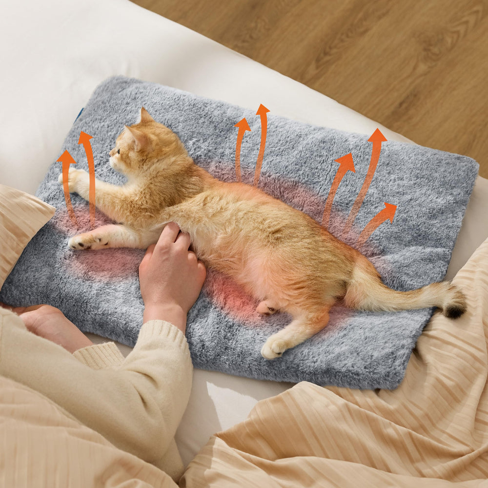 Bedsure self-warming cat bed in grey complements home decor.