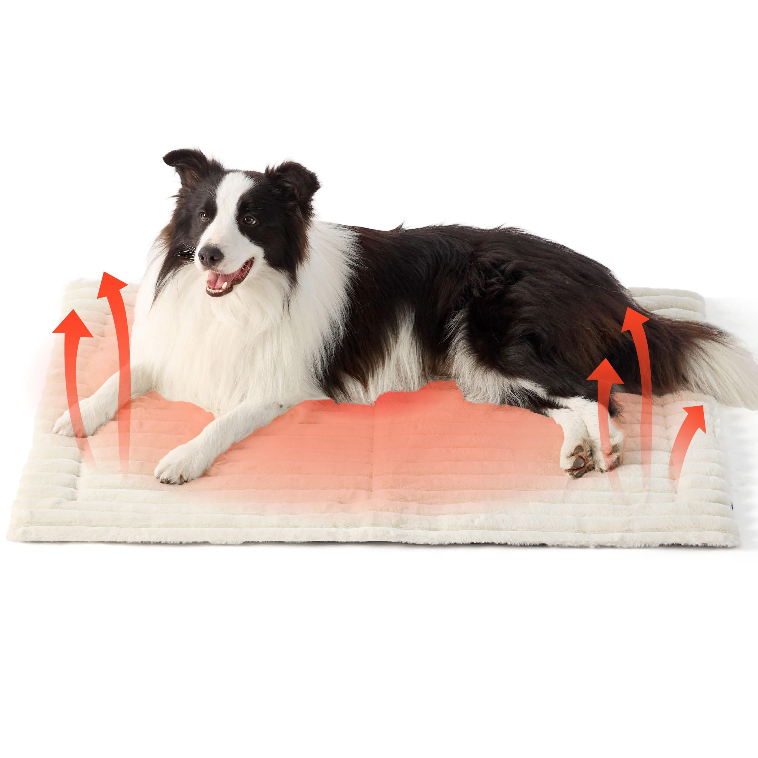 Bedsure self-warming dog bed 35x23 hero—cozy warmth without external power.