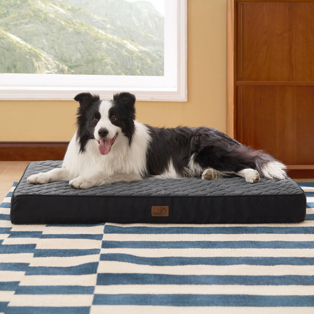 Bedsure standalone crate bed demonstrates versatile use in crates or kennels.