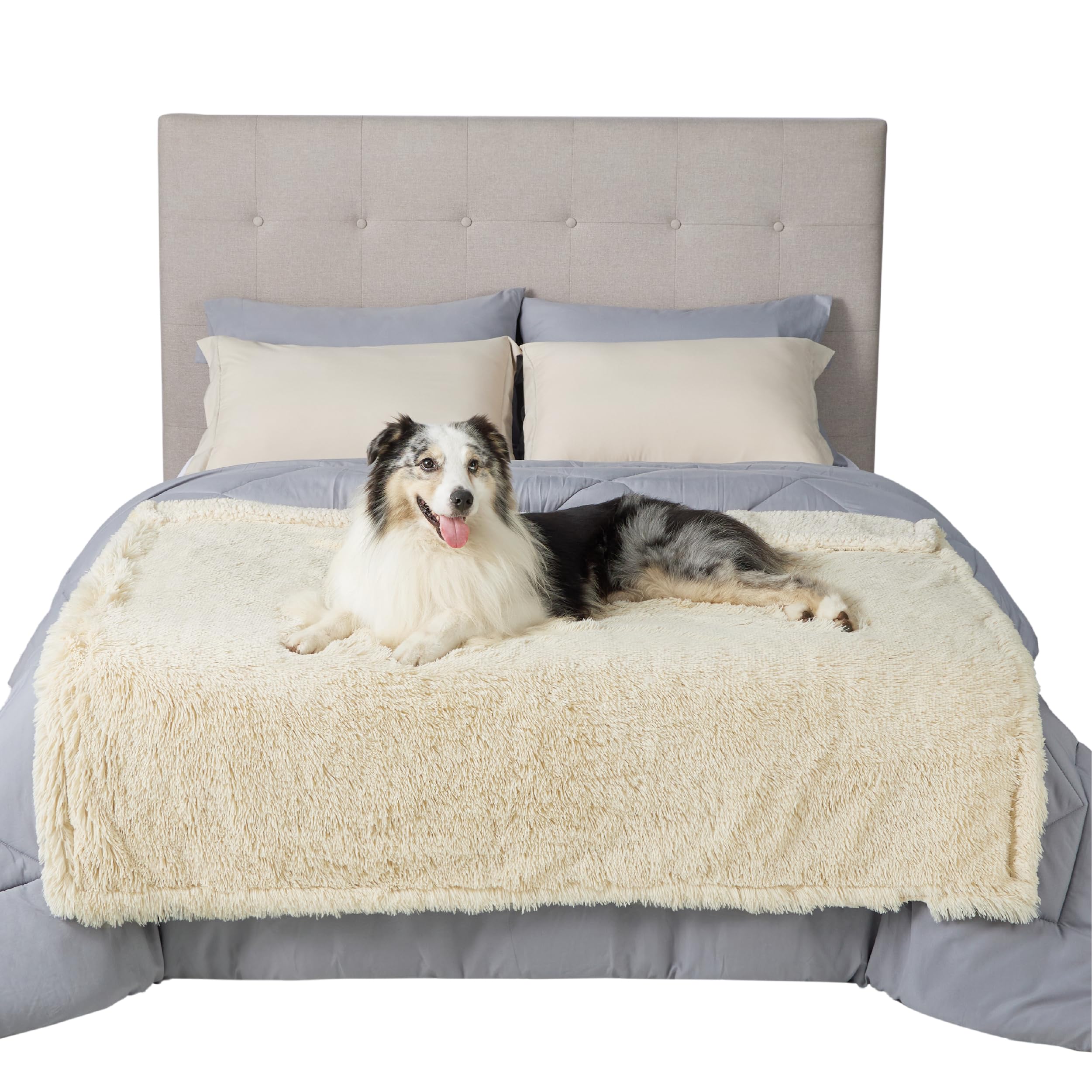 Bedsure travel dog blanket cream guards car seats during adventures.