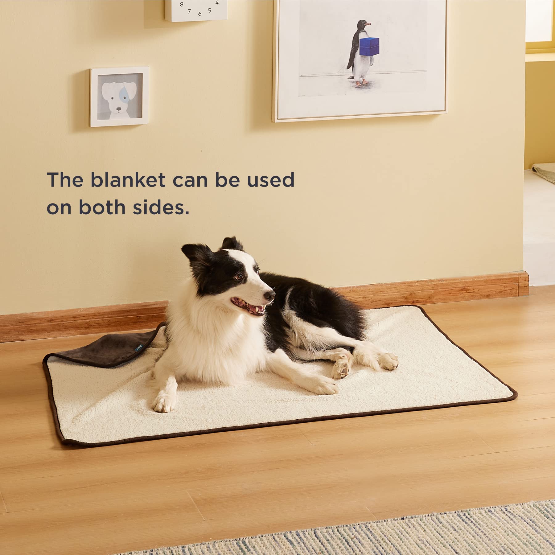 Bedsure travel-friendly blanket ready for car trips and hotel stays with pets.