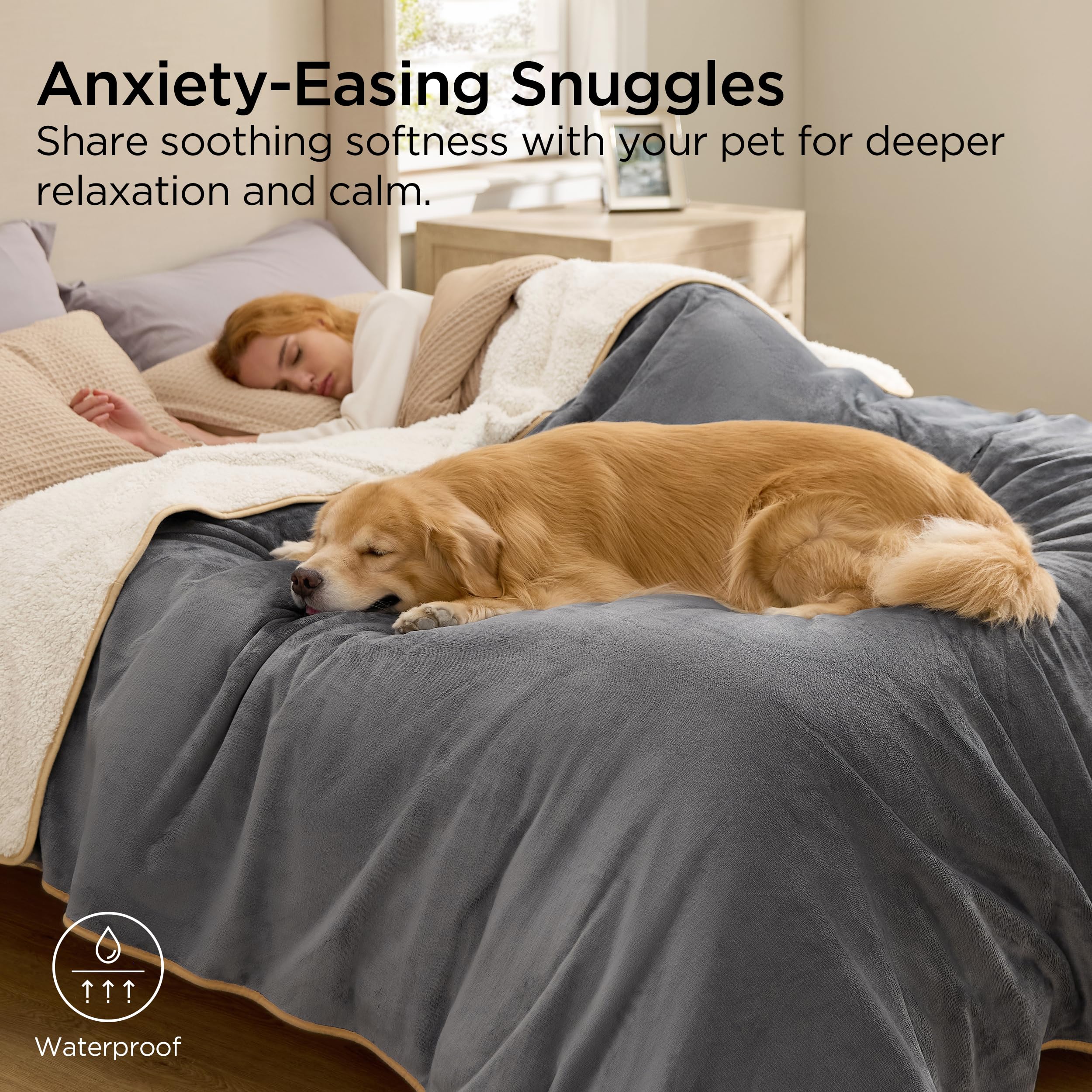 Bedsure travel-friendly pet blanket is lightweight and easy to carry on trips.