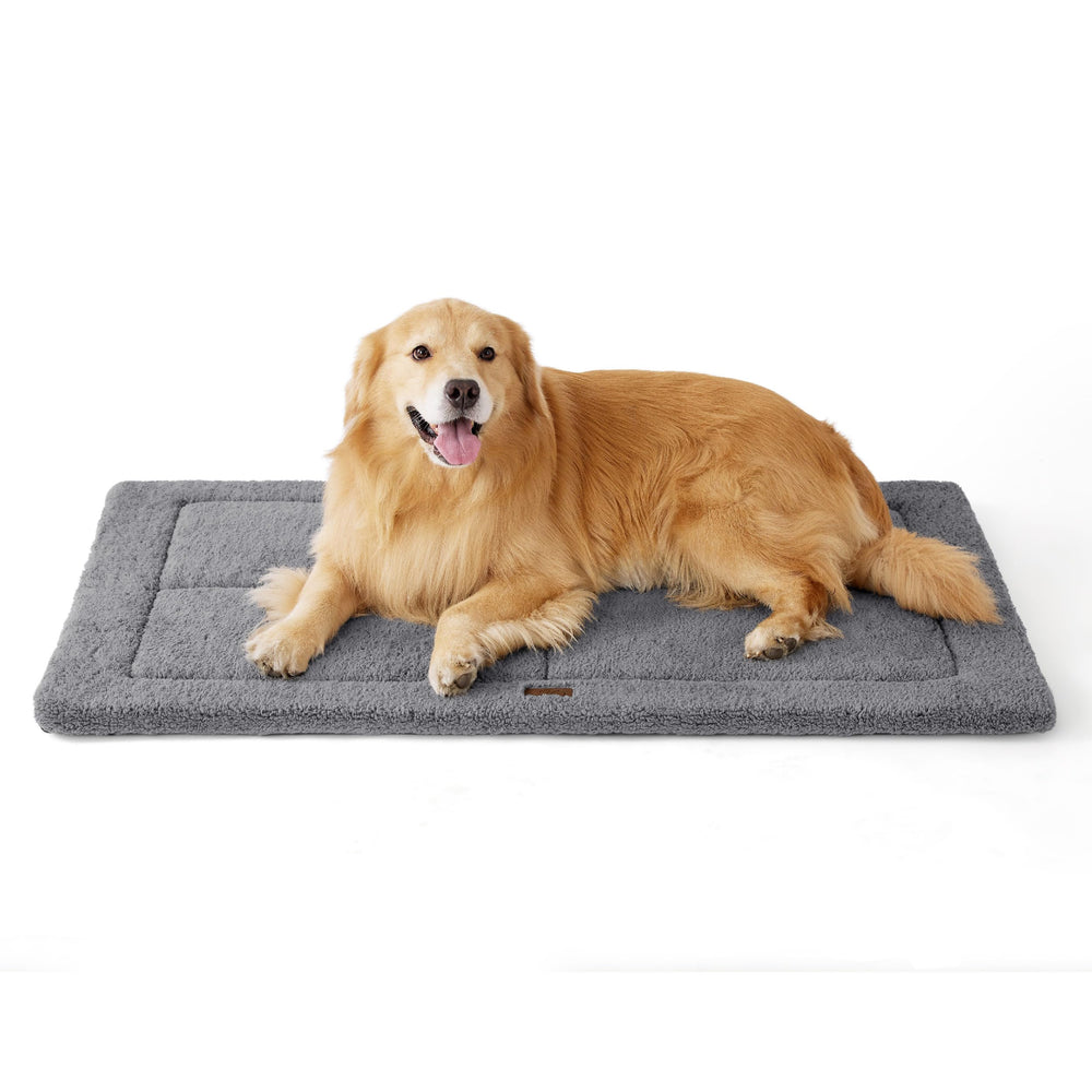 Bedsure extra-large washable dog bed with soft foam for lounge-ready comfort