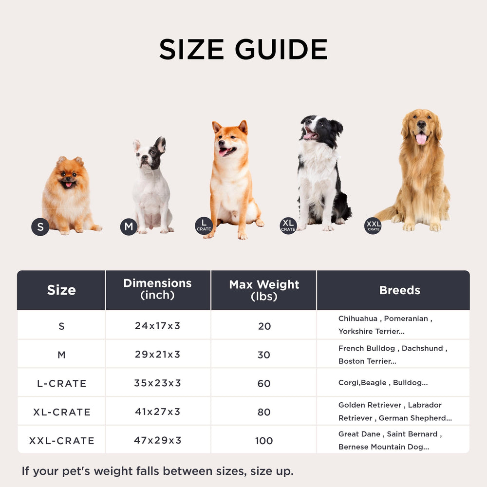 Bedsure Washable XL Dog Bed standalone-comfort illustrates versatile lounging for large dogs.