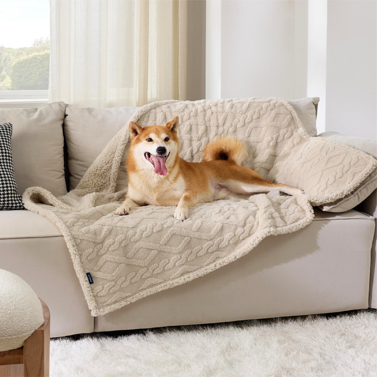 Bedsure waterproof dog blanket 40x50 cream protects furniture from spills and accidents