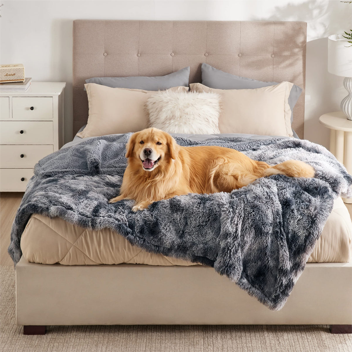 Bedsure waterproof dog blanket 60x80 on couch protects furniture from spills and accidents.