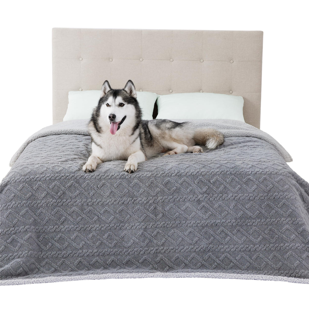 Bedsure waterproof dog blanket on bed shows spill-proof protection and cozy comfort.