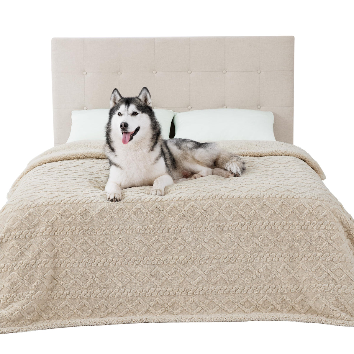 Bedsure waterproof dog blanket on a bed showing leakproof protection and comfort benefits.