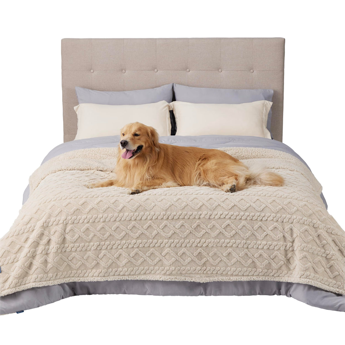 Bedsure waterproof dog blanket on bed protects against spills and accidents.