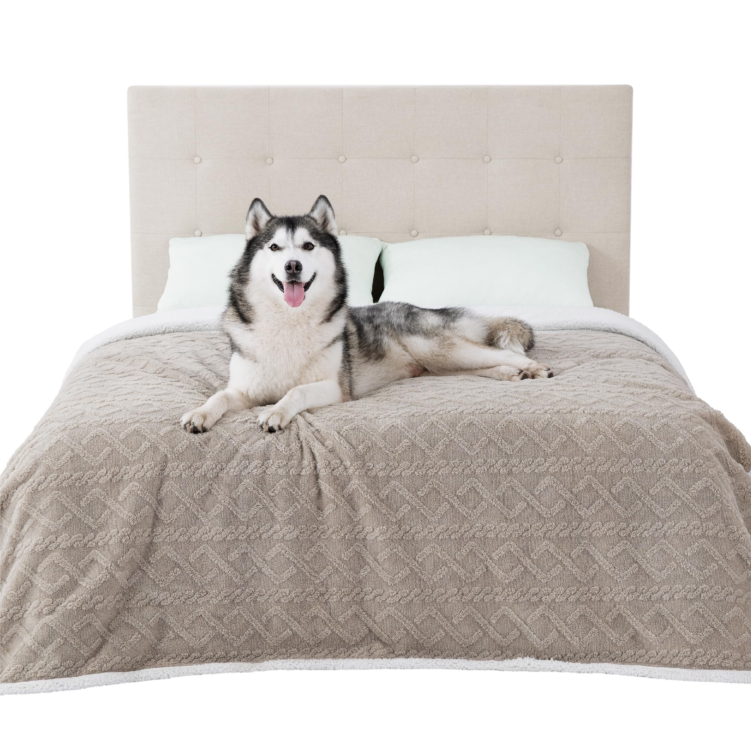 Bedsure waterproof dog blanket on bed protecting furniture during pet lounging