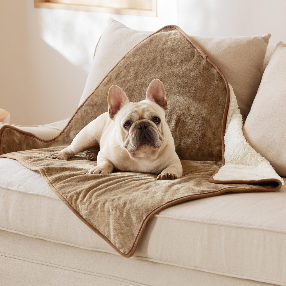 Bedsure waterproof dog blanket camel closeup highlights leakproof layer for furniture protection