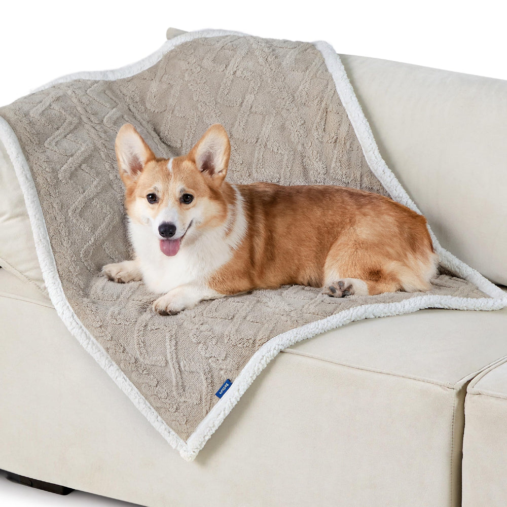 Bedsure waterproof dog blanket on couch protecting furniture from spills.