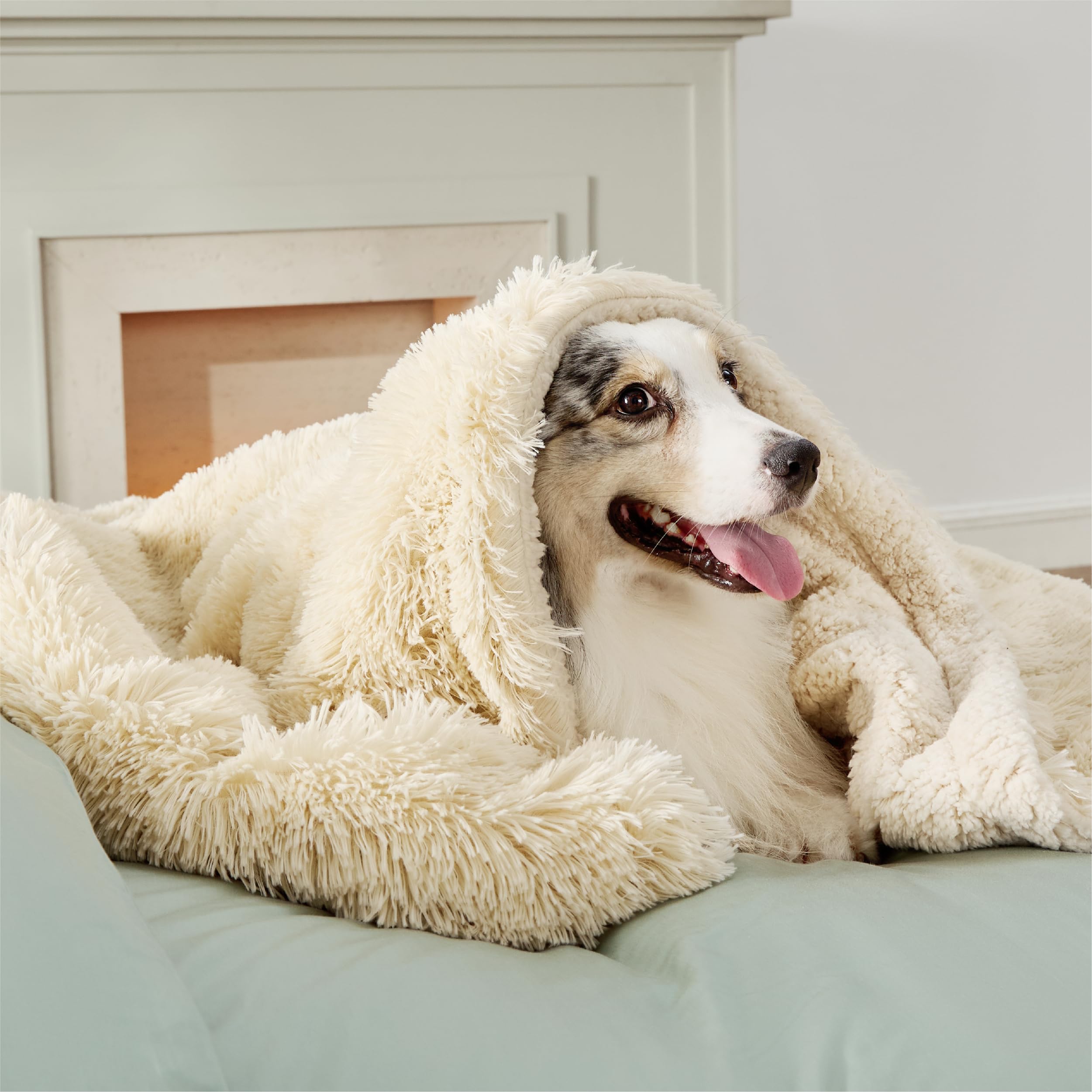 Bedsure waterproof dog blanket cream 50x60 shields spills on sofa while keeping pets cozy.