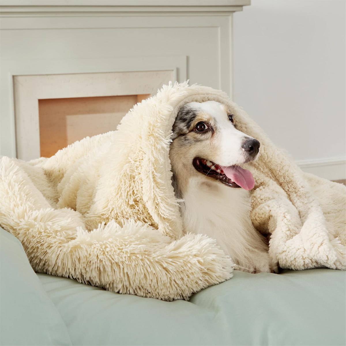 Bedsure waterproof dog blanket cream 50x60 shields spills on sofa while keeping pets cozy.