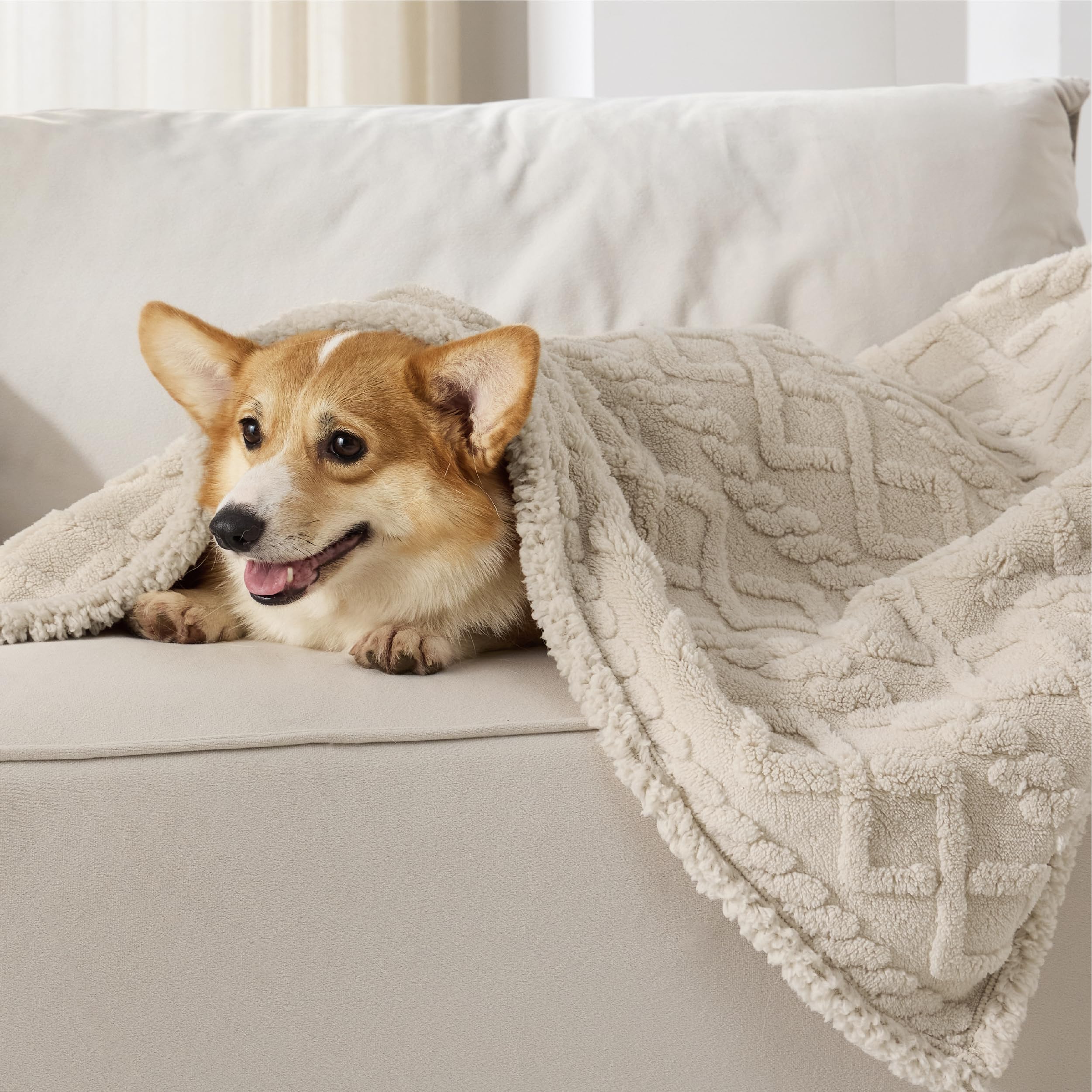 Bedsure plush shaggy velvet side enhances cozy lounging for pets