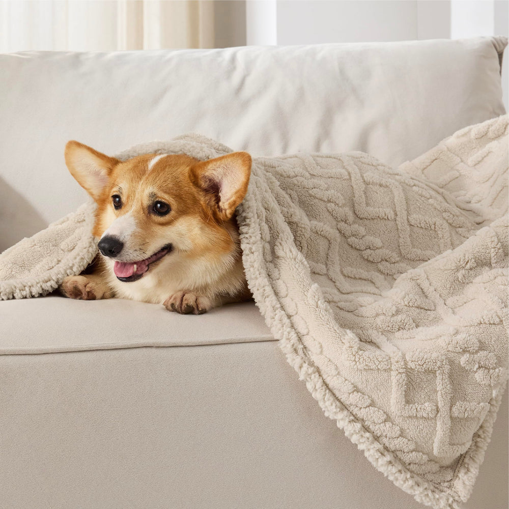 Bedsure plush shaggy velvet side enhances cozy lounging for pets