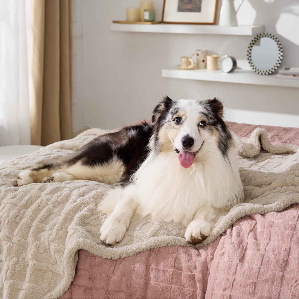 Bedsure waterproof dog blanket cream side view demonstrates durable protection and plush comfort.