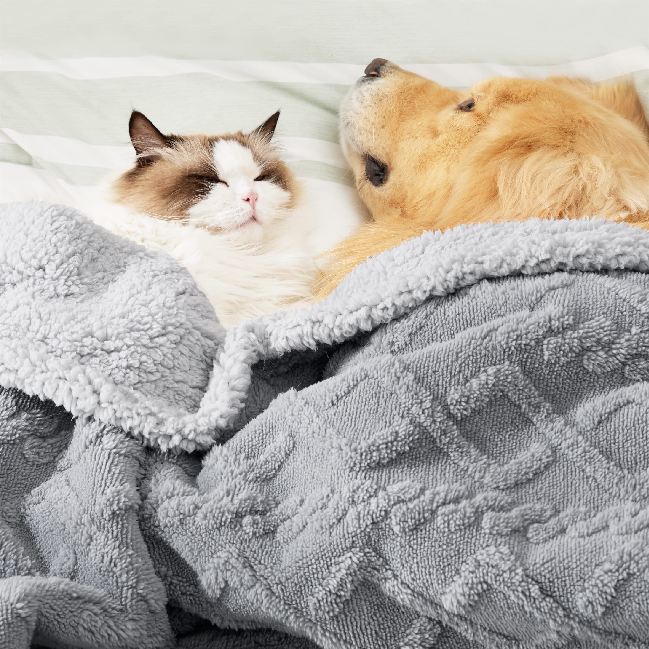 Bedsure plush velvet side close-up emphasizing cozy surface