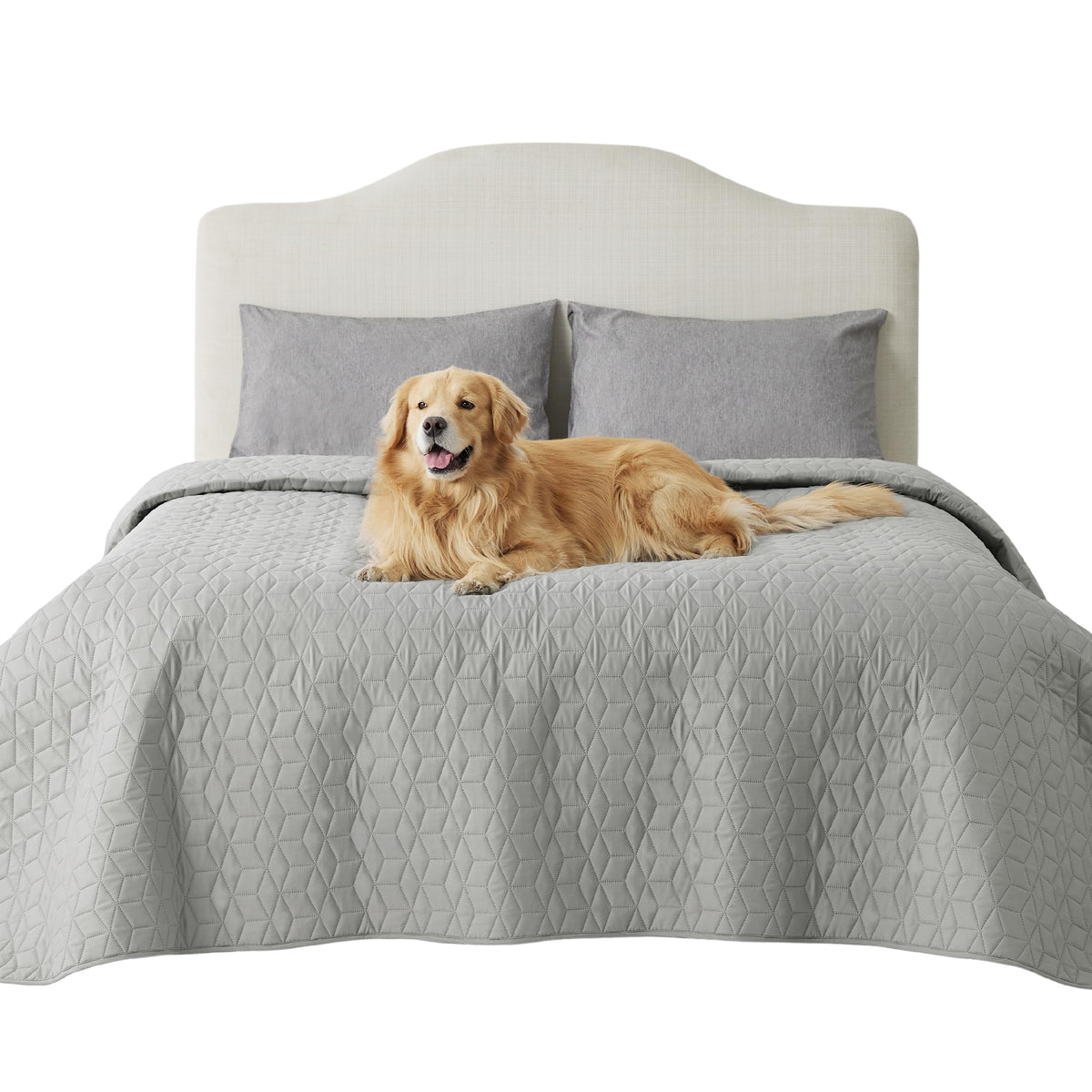 Bedsure waterproof dog cover on bed protector shields furniture from spills.