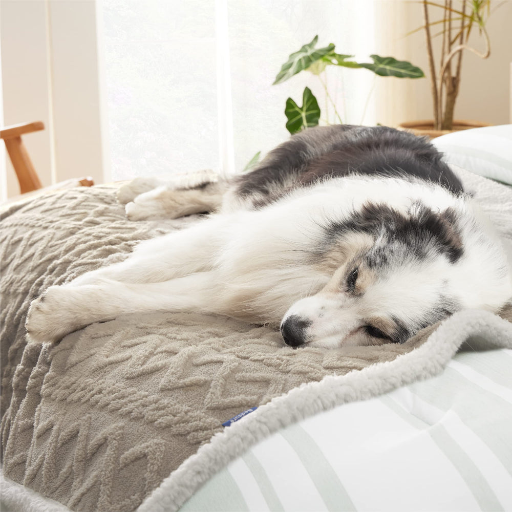 Bedsure waterproof inner lining pet blanket blocks leaks on furniture.