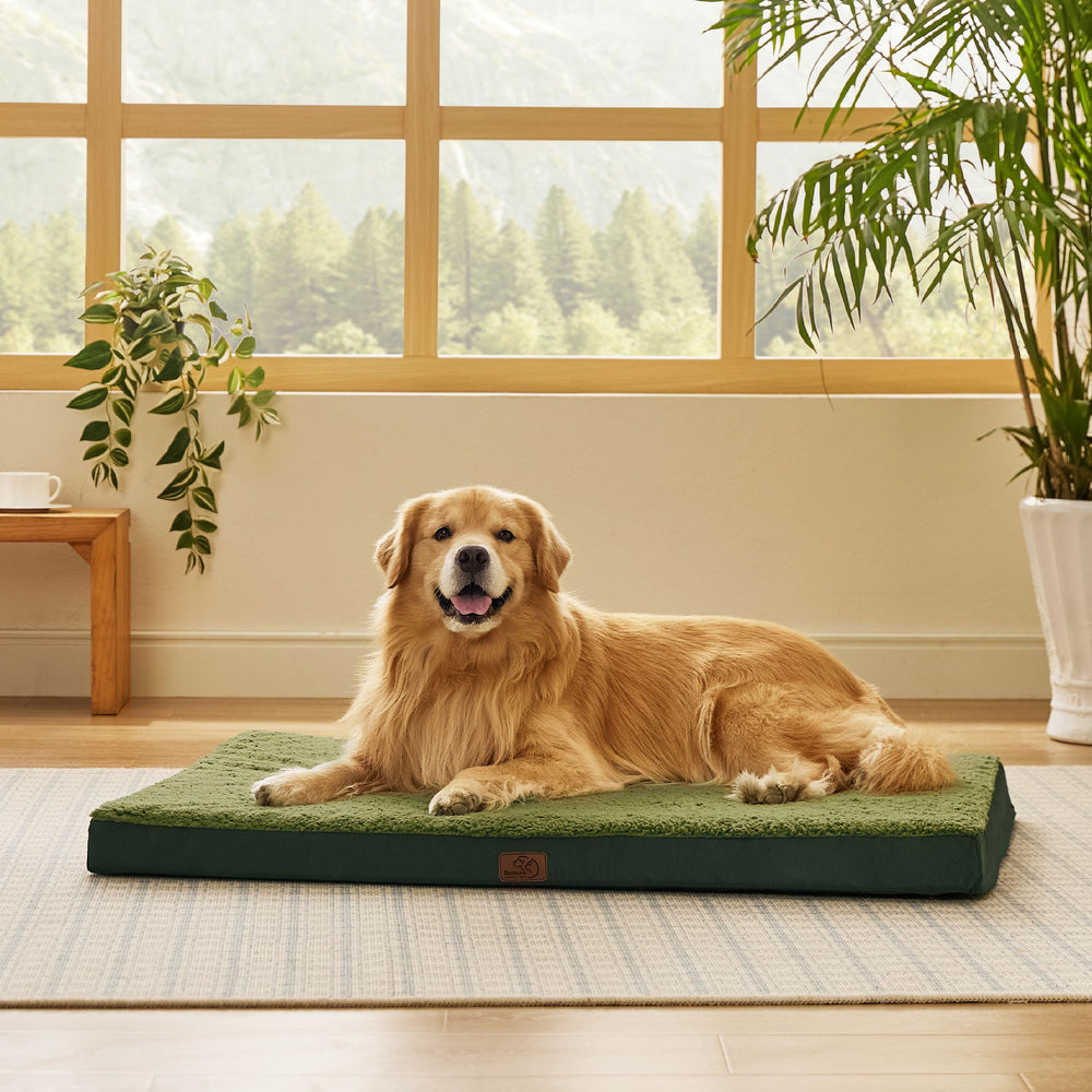 Bedsure XL dog bed front view showing spacious lounging space for large dogs.