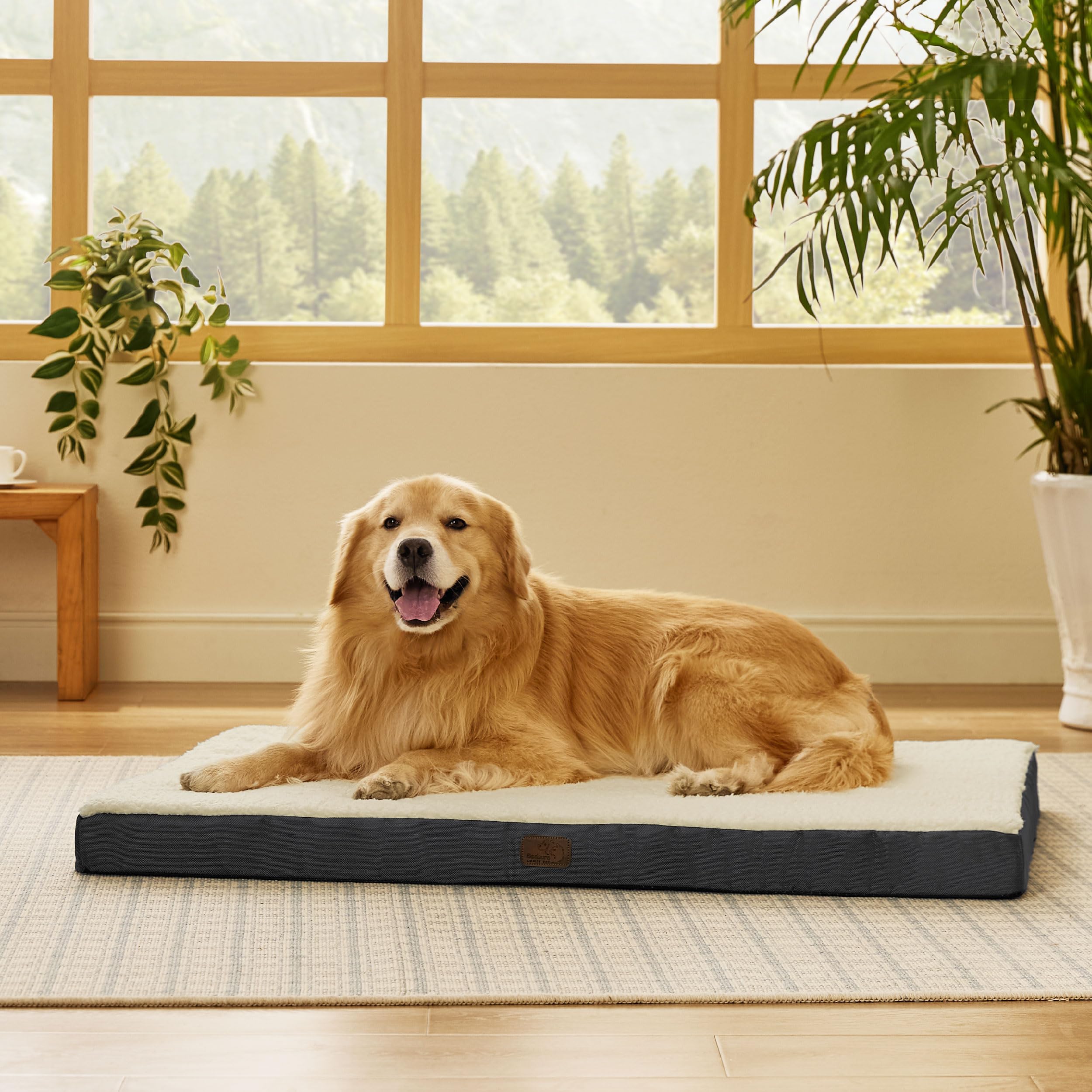 Bedsure XL dog bed travel-ready scene hints portability for trips.