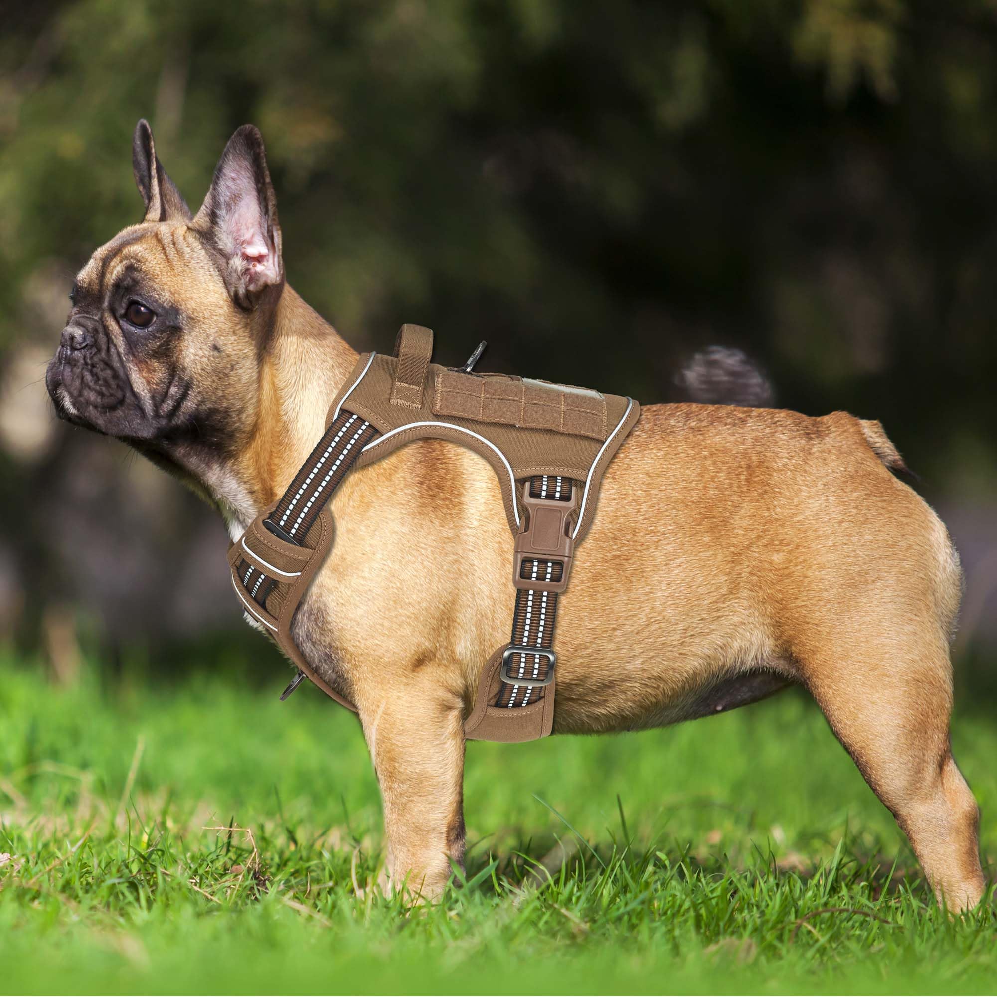 Beebiepet heavy-duty tactical dog harness close-up nylon stitching demonstrates durability for tough outdoor use.