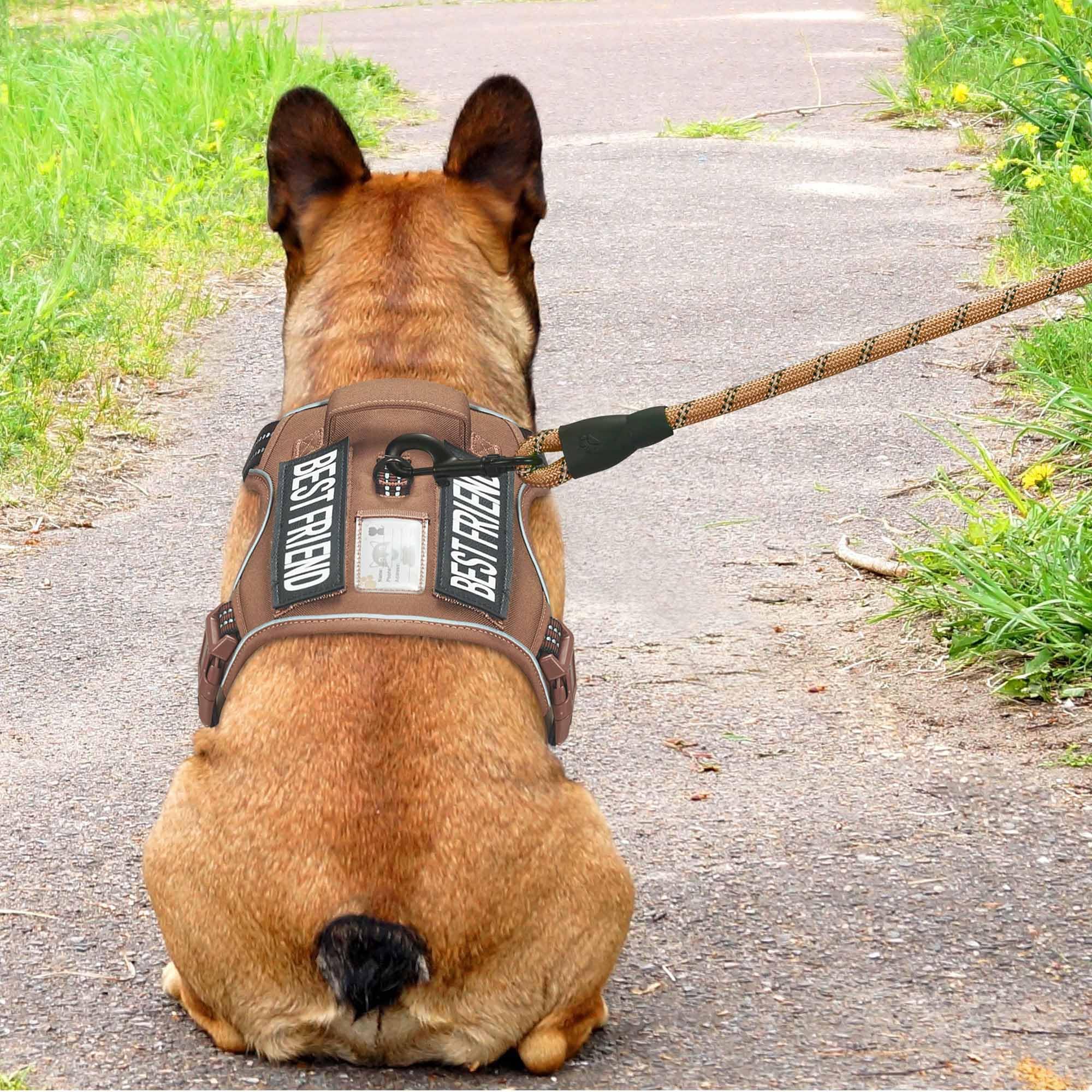 Beebiepet heavy-duty tactical dog harness with Molle system on both sides enables gear attachment.