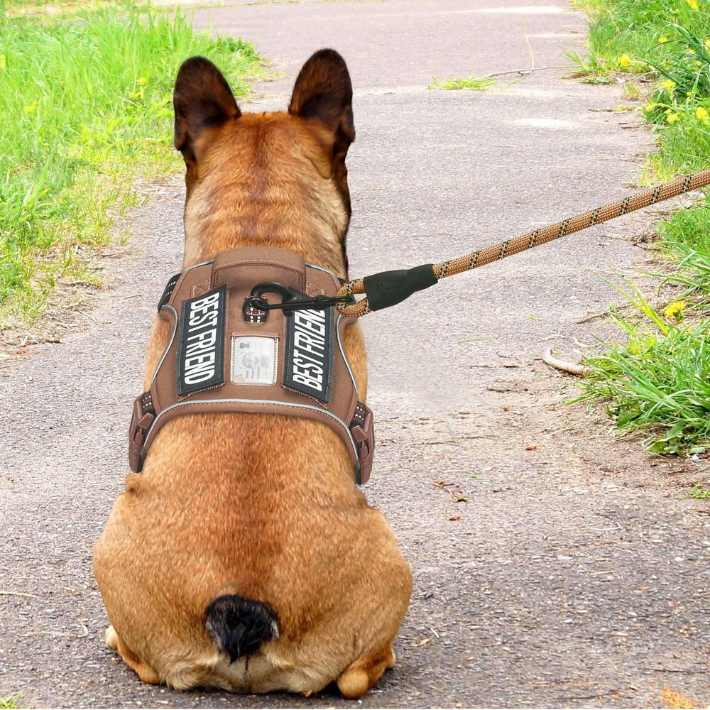 Beebiepet heavy-duty tactical dog harness with Molle system on both sides enables gear attachment.