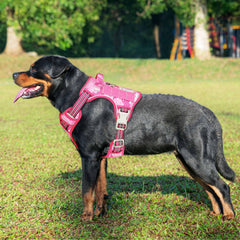 Beebiepet MOLLE system side strips for attaching pouches during outdoor service or training.