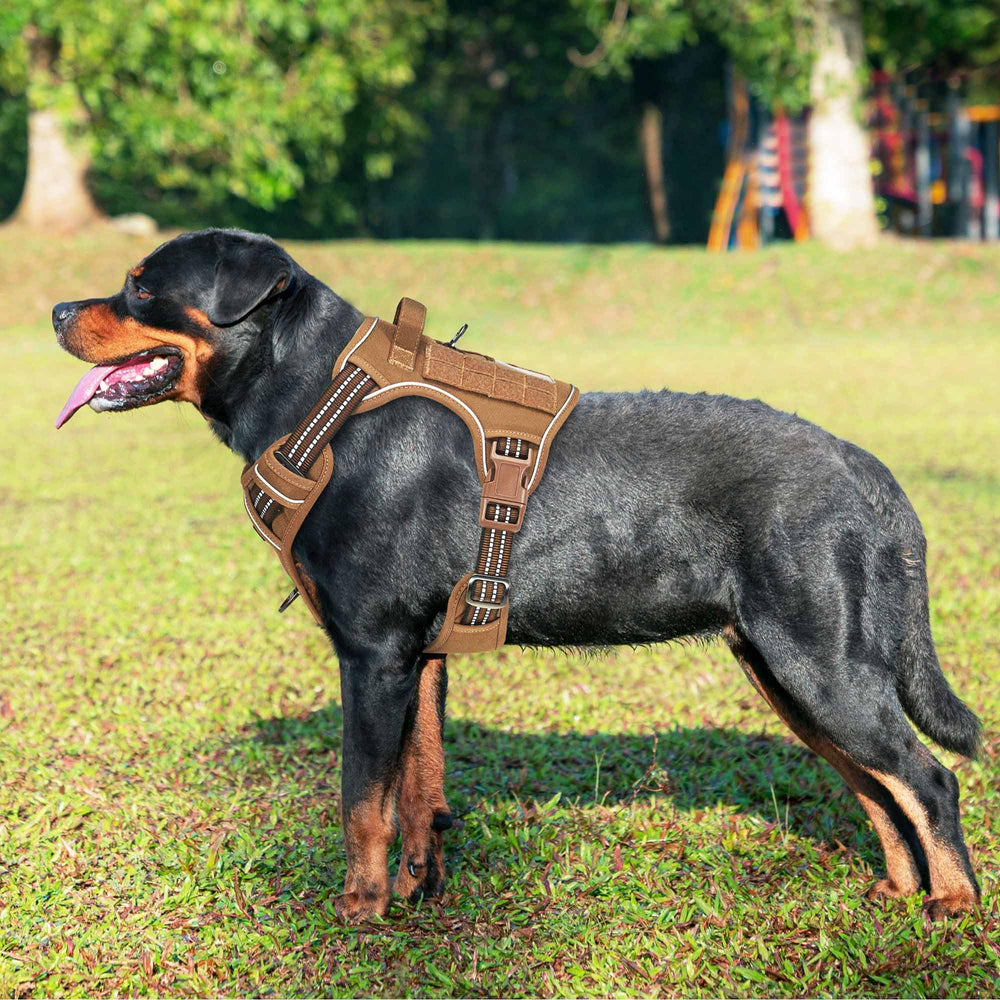 Beebiepet no-pull harness closeup — reinforced stitching and durable materials for reliable control.