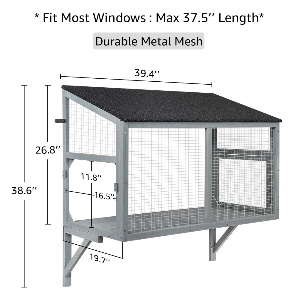 beeNbkks catio view captures birds safely from your living room window.