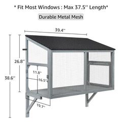 beeNbkks catio view captures birds safely from your living room window.