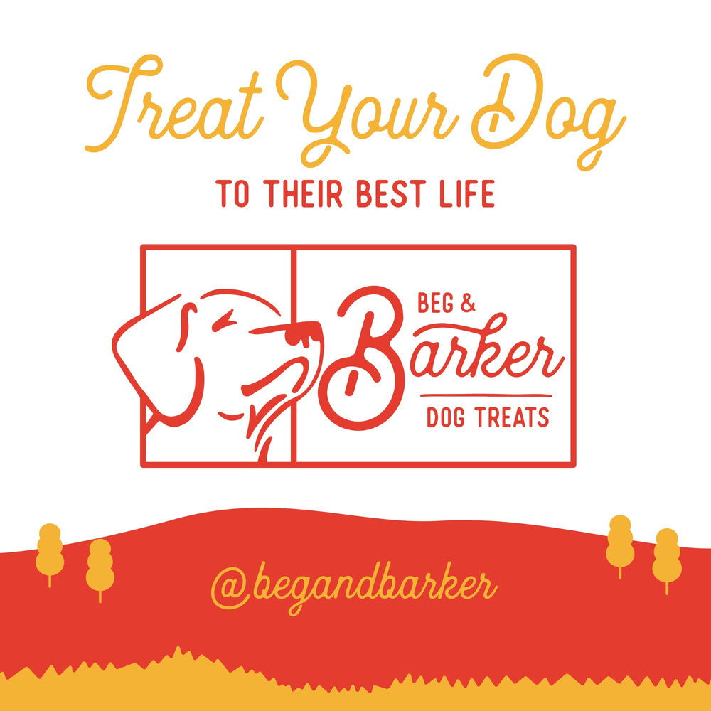 Beg & Barker beef liver jerky on a chew toy scenario