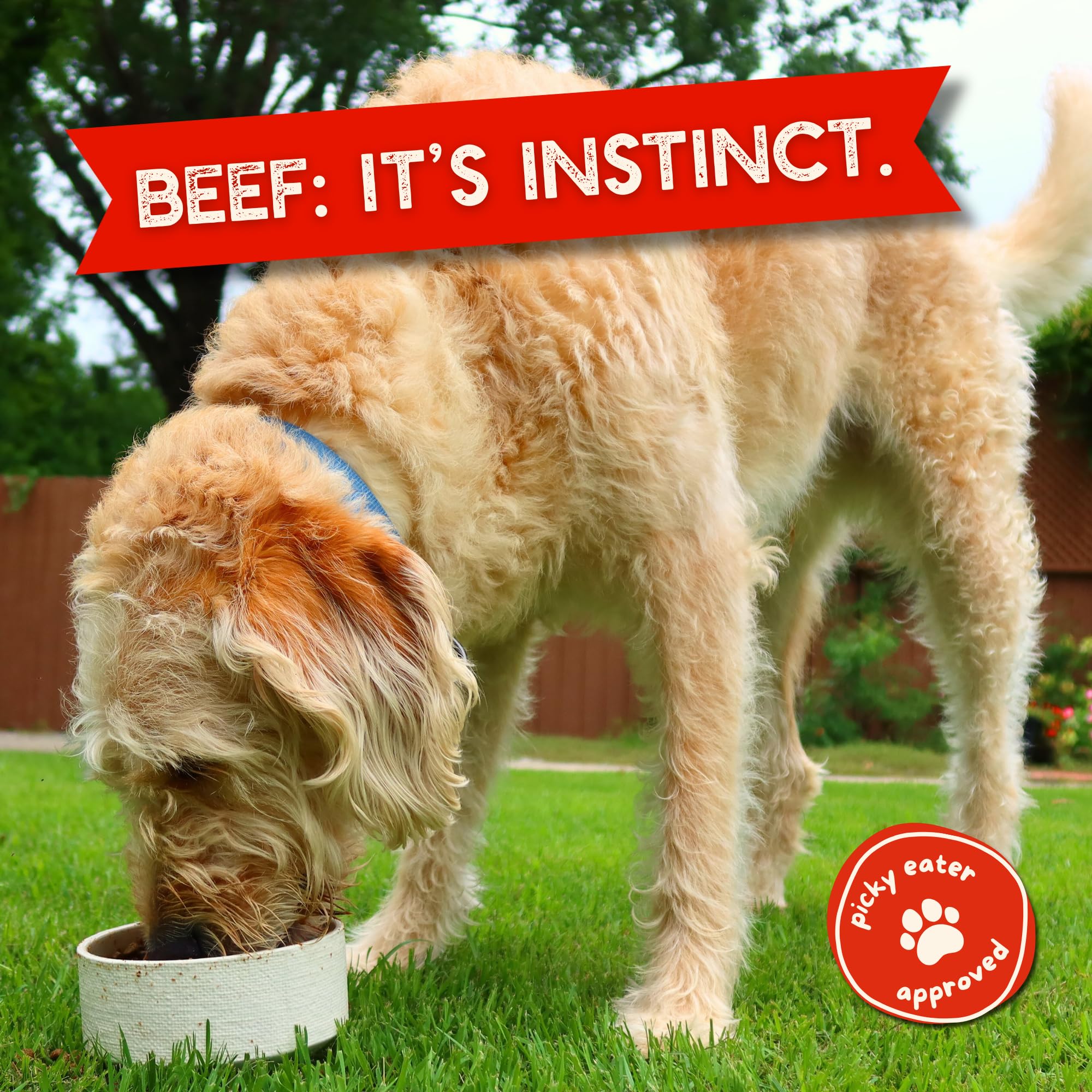 Beg & Barker human-grade beef reinforces trust and meal clarity.