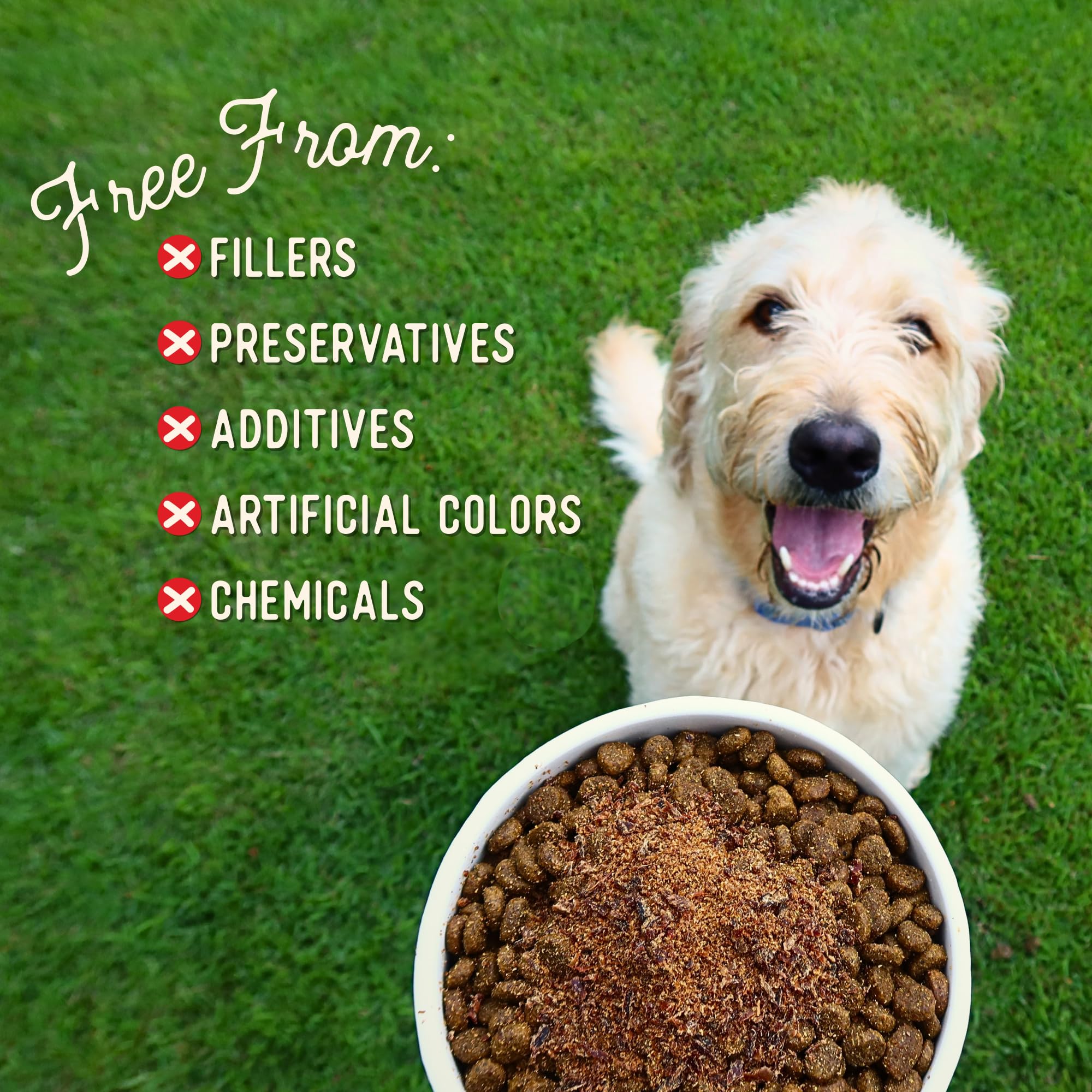 Beg & Barker toppers sprinkled on kibble boost flavor for picky eaters.