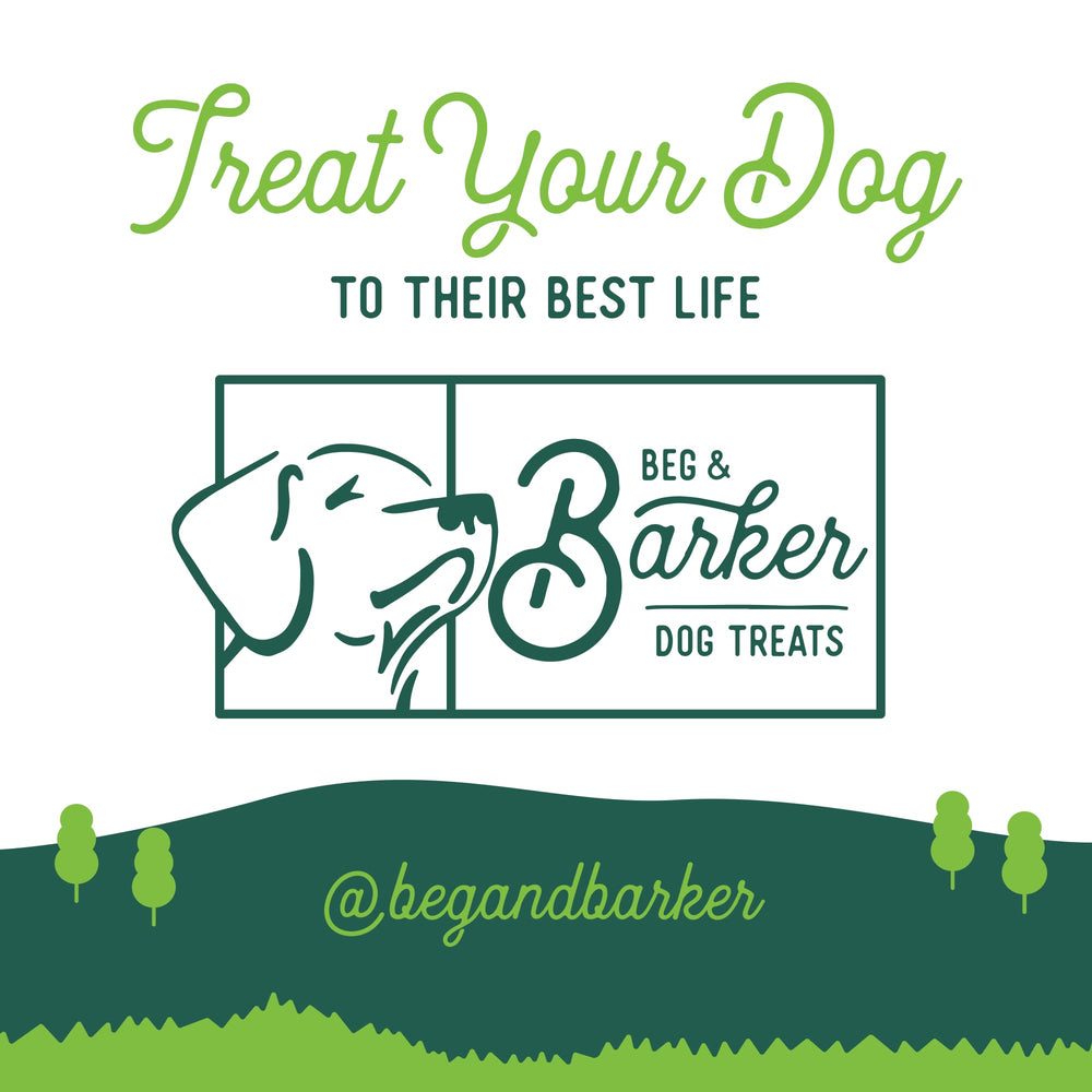 Beg & Barker diabetic-friendly option supports dogs on restricted diets