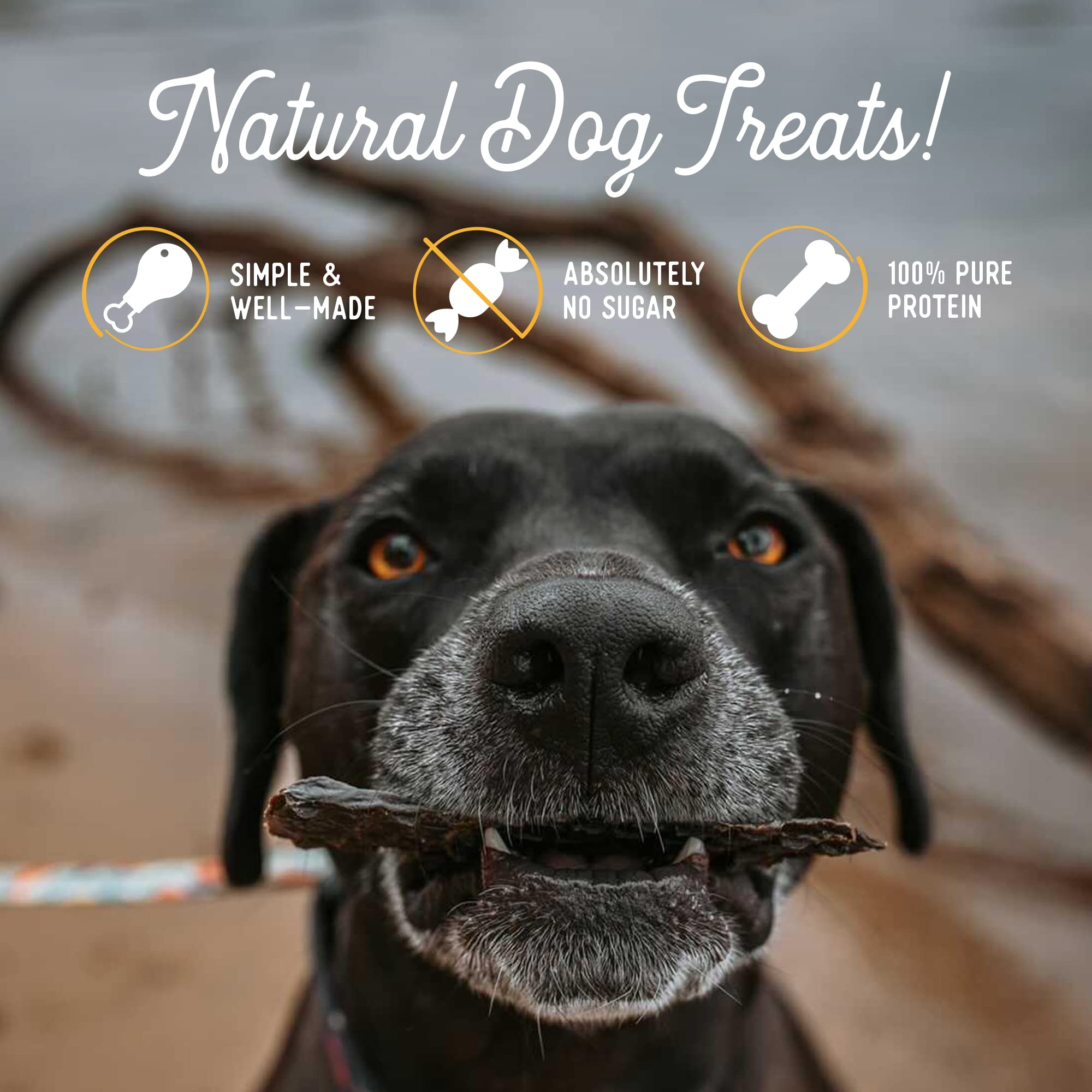 Beg & Barker human-grade dog treats image conveys trusted USA-made quality.