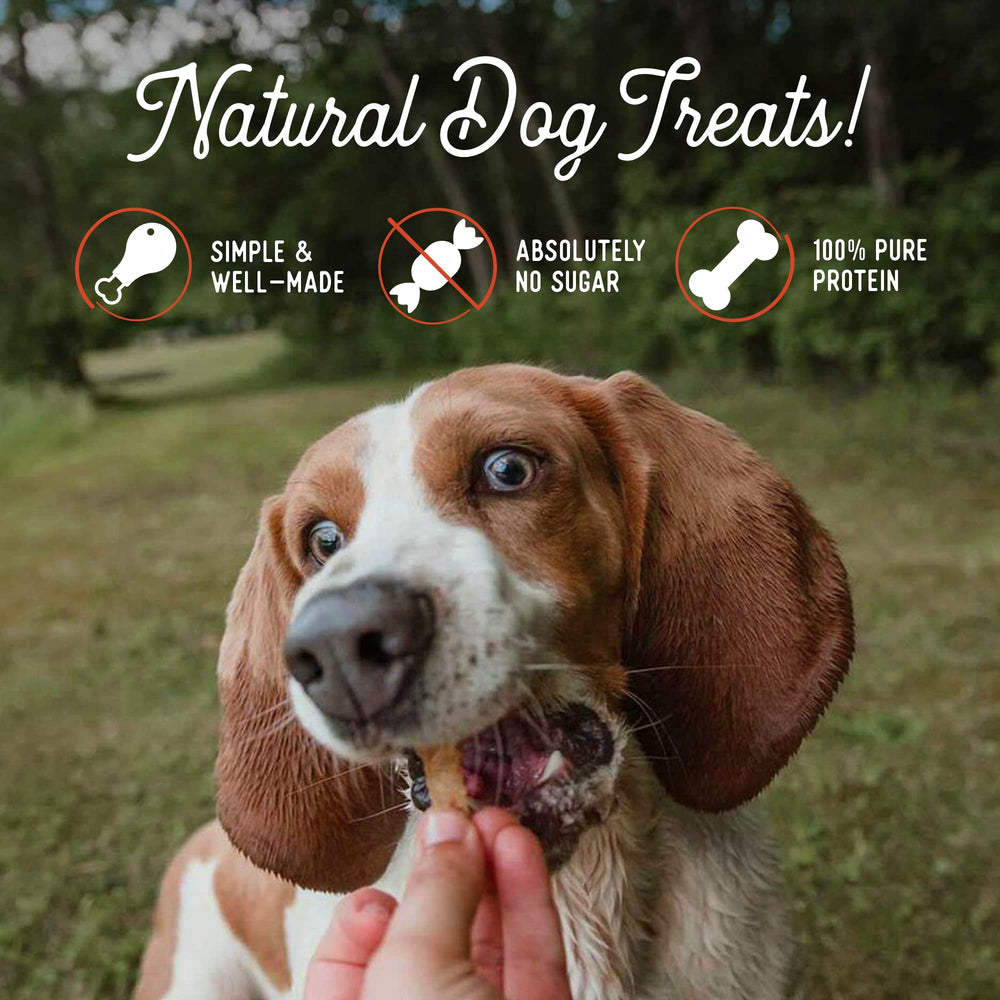 Beg & Barker pork jerky single-ingredient label—no grains or fillers.