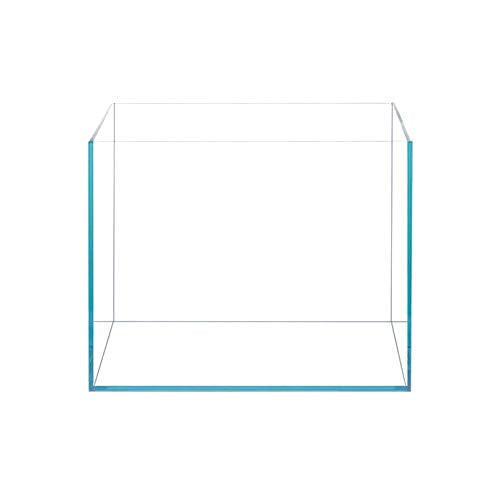 BEGONDIS 9.5 gal rimless low-iron aquarium front view for crystal-clear visibility and compact setup