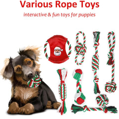 Beiker Christmas 15-pack treat ball image demonstrates puzzle play and snack rewards.