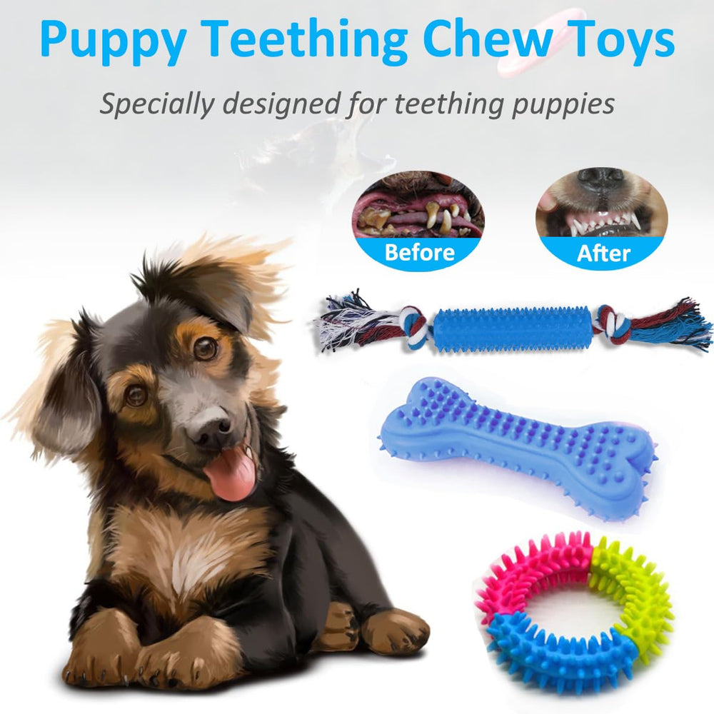Beiker outdoor flyer supports active fetch and daily exercise