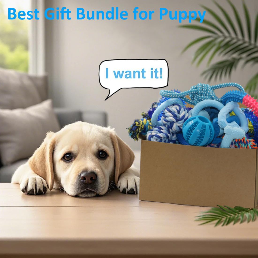 Beiker puppy toy gift box blue showcases a ready gift for new puppies and owners.