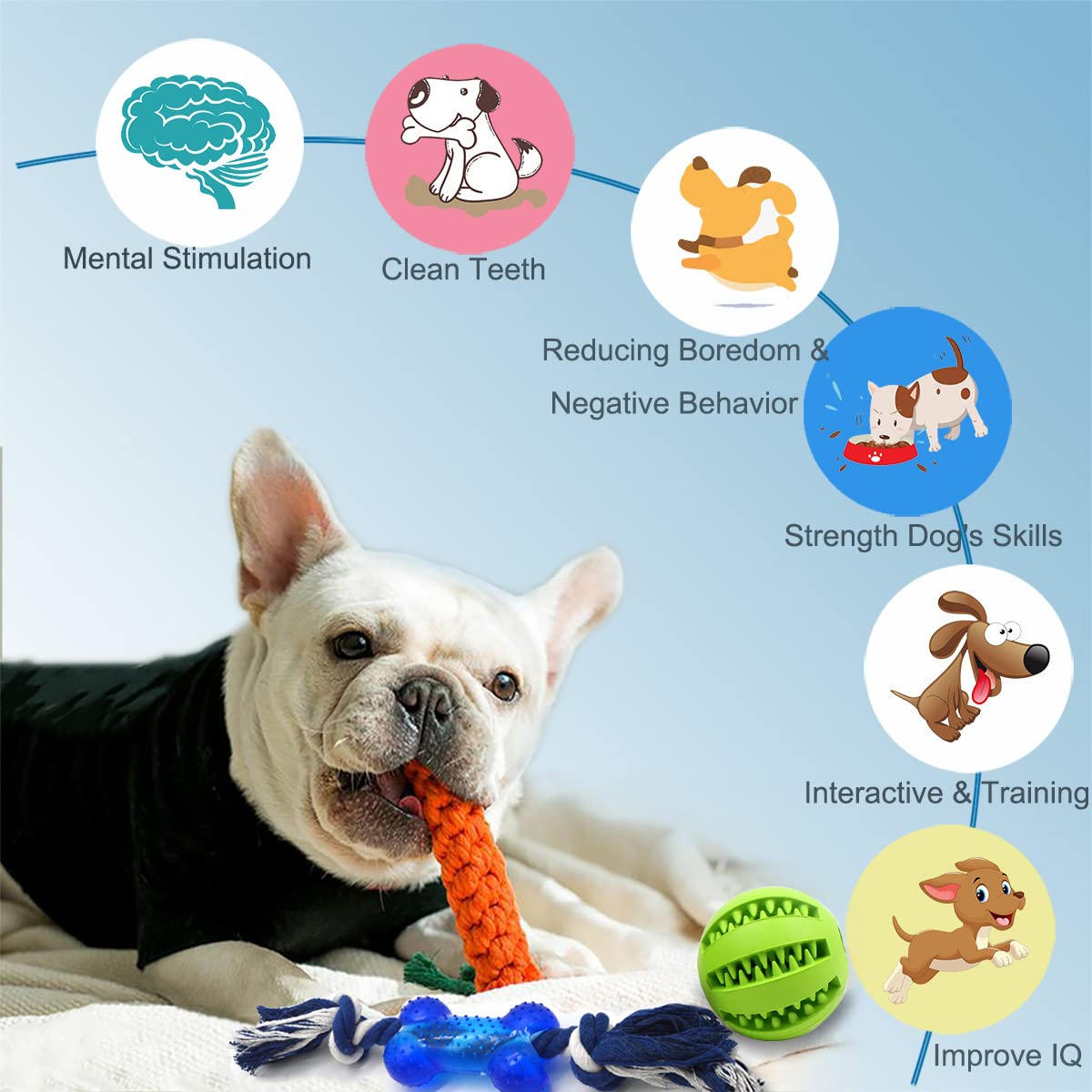 Beiker squeaky ball toy engages dogs with cognitive play and noise