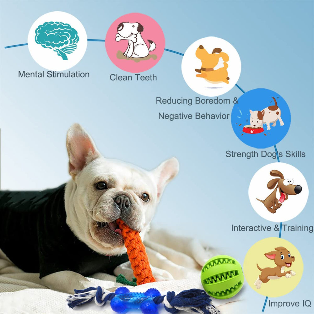 Beiker squeaky ball toy engages dogs with cognitive play and noise
